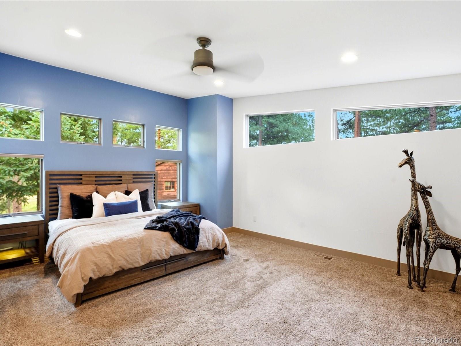 MLS Image #8 for 5809 s skyline drive,evergreen, Colorado