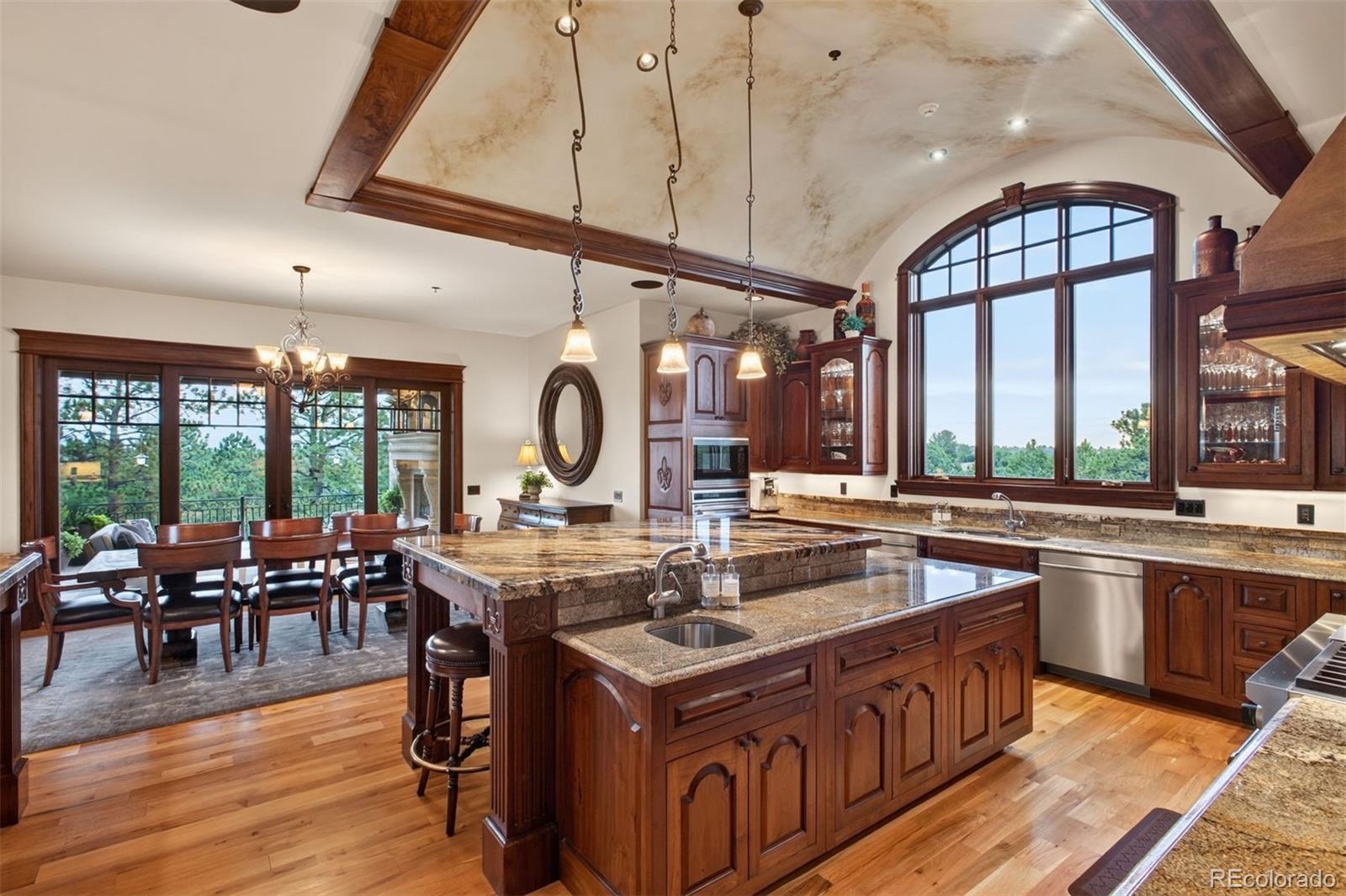 MLS Image #4 for 1125  northwood court,castle rock, Colorado