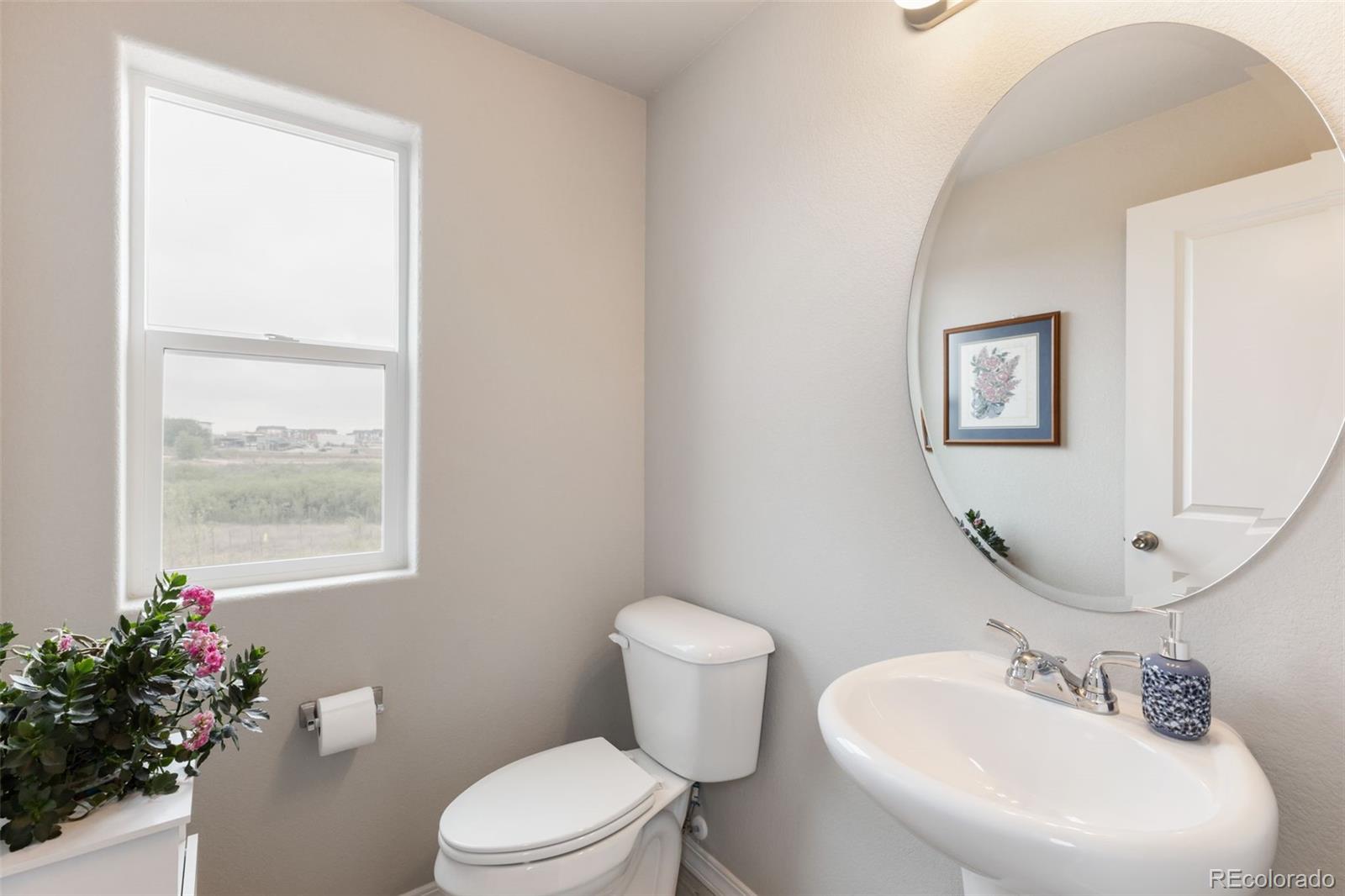 MLS Image #20 for 7866  piton point,colorado springs, Colorado