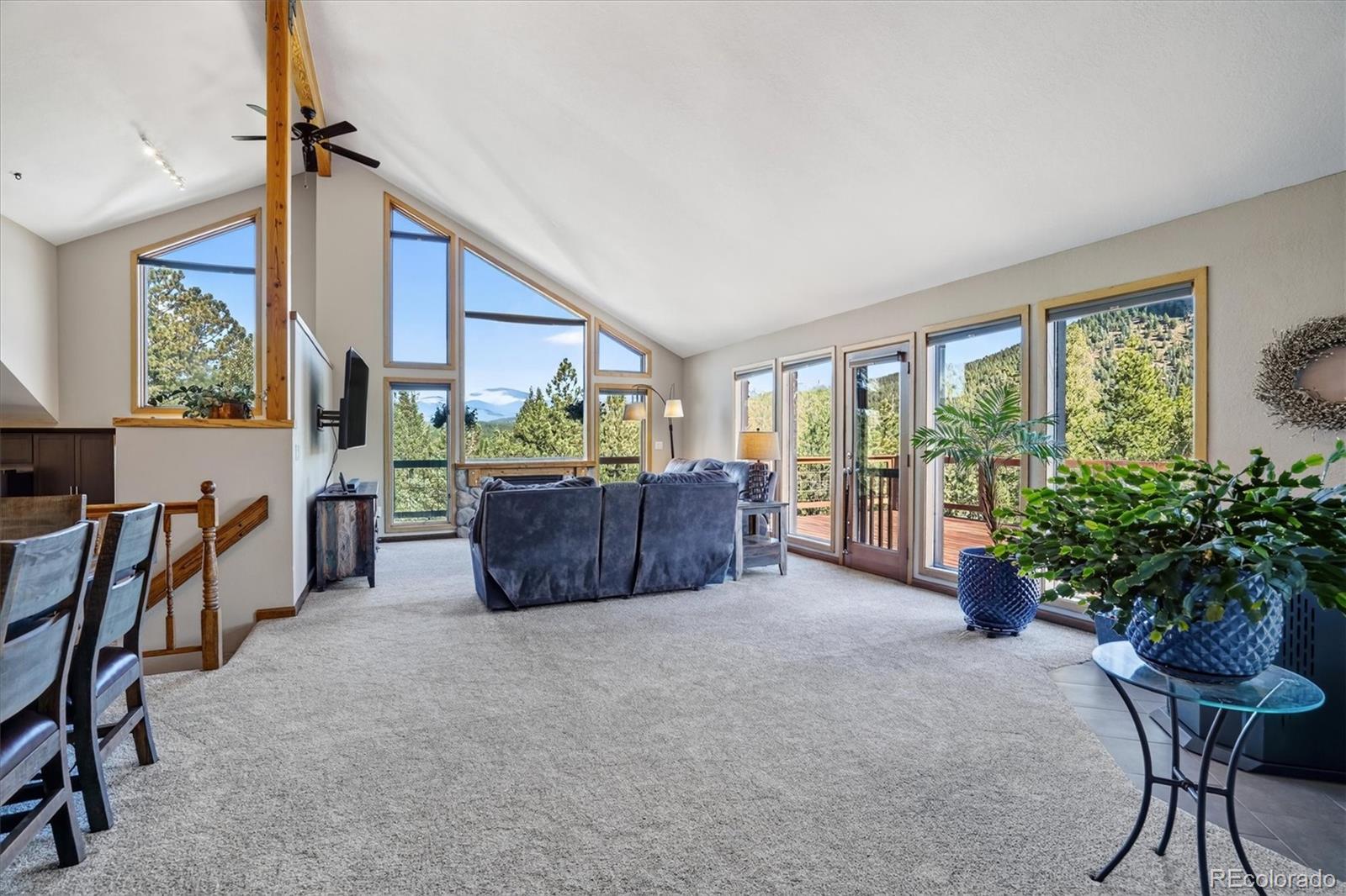 MLS Image #19 for 203  valley view lane,pine, Colorado