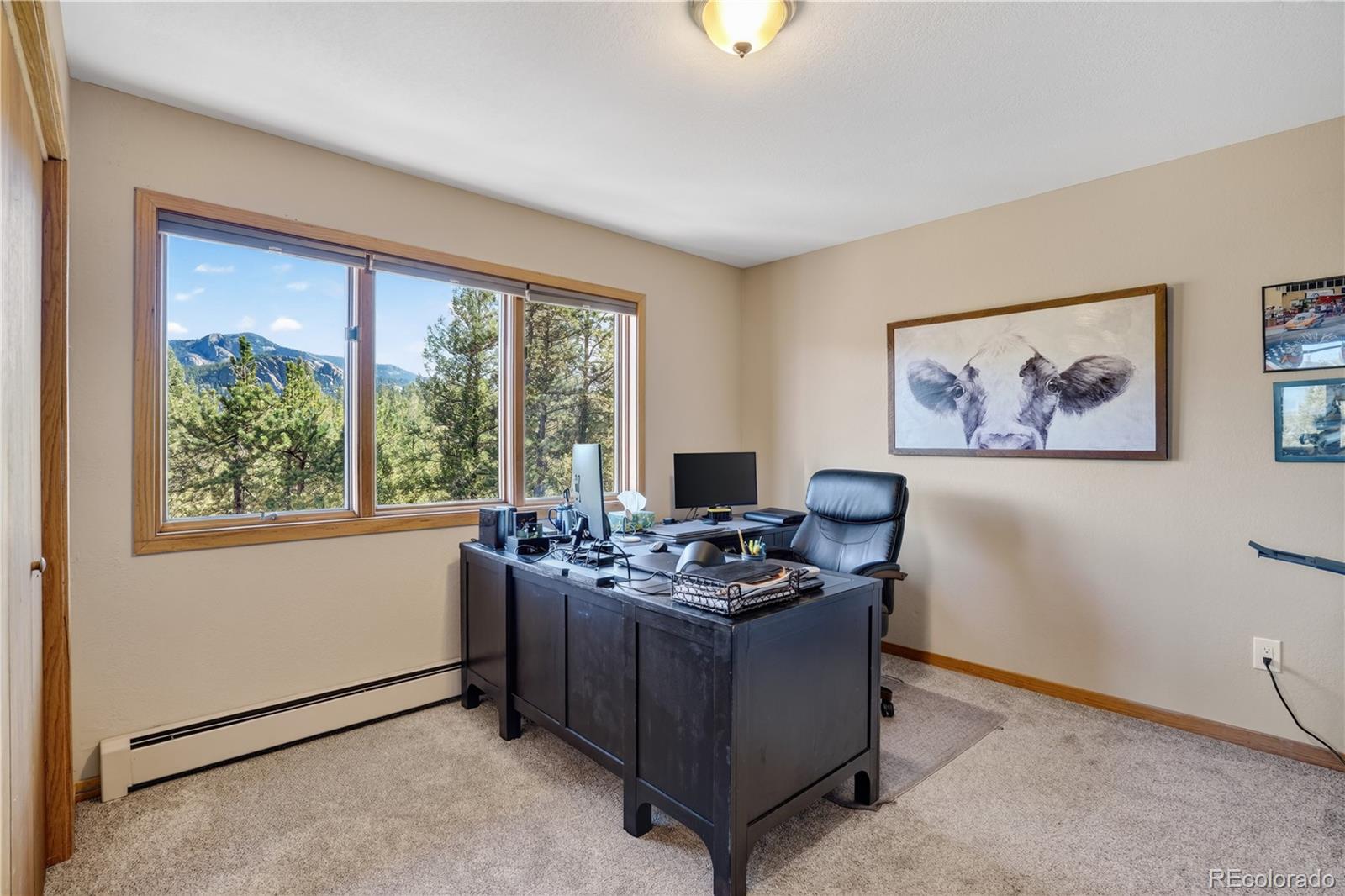 MLS Image #20 for 203  valley view lane,pine, Colorado