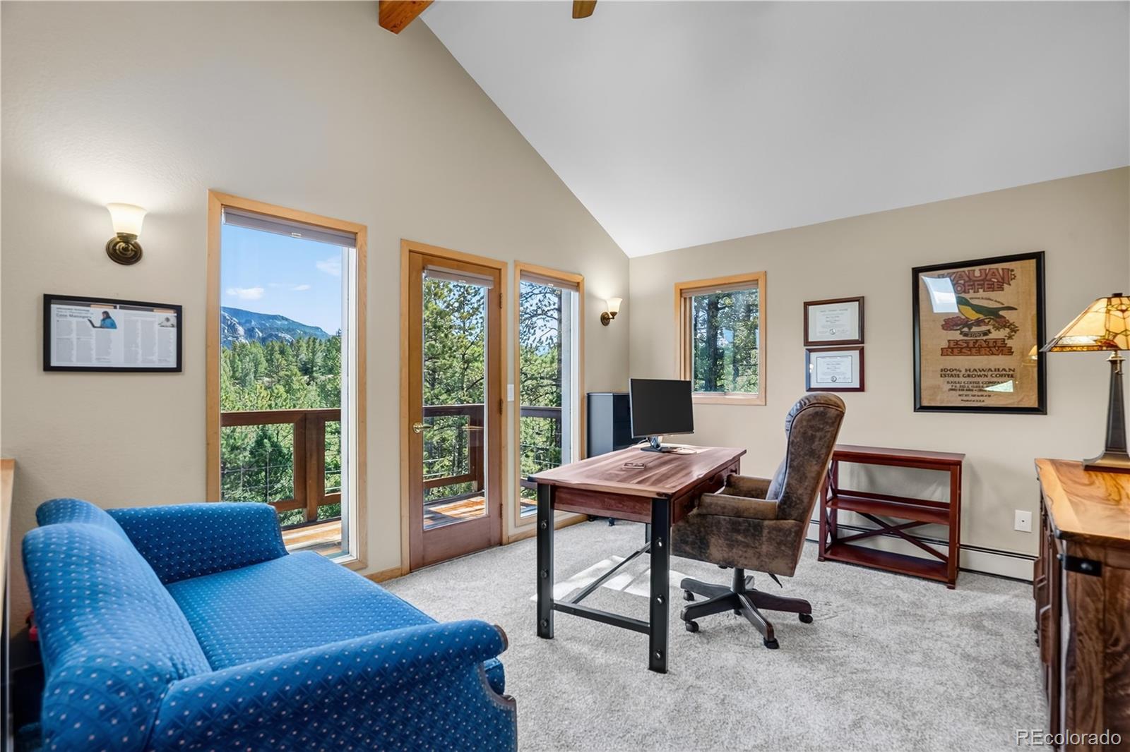 MLS Image #29 for 203  valley view lane,pine, Colorado