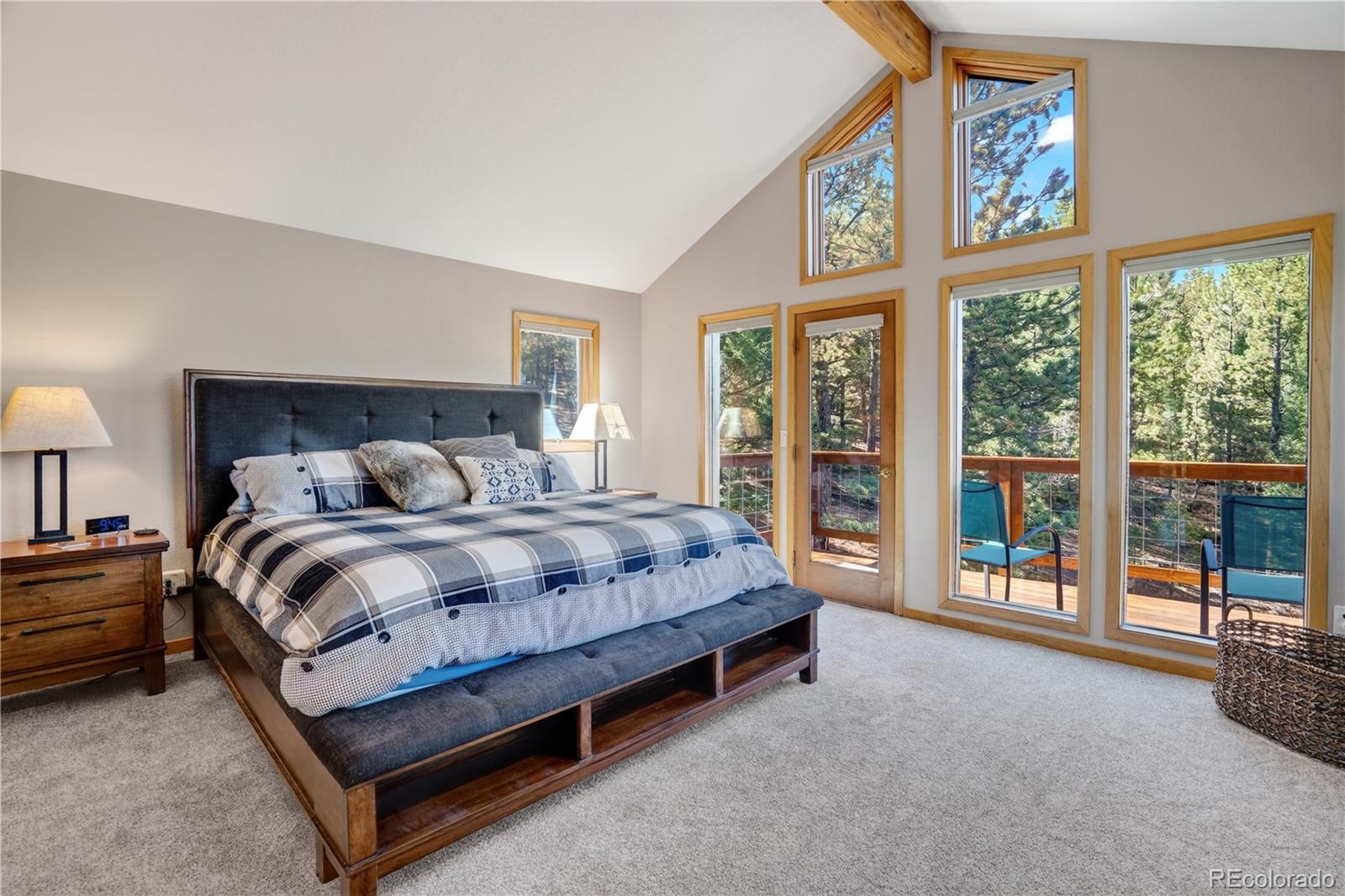 MLS Image #32 for 203  valley view lane,pine, Colorado