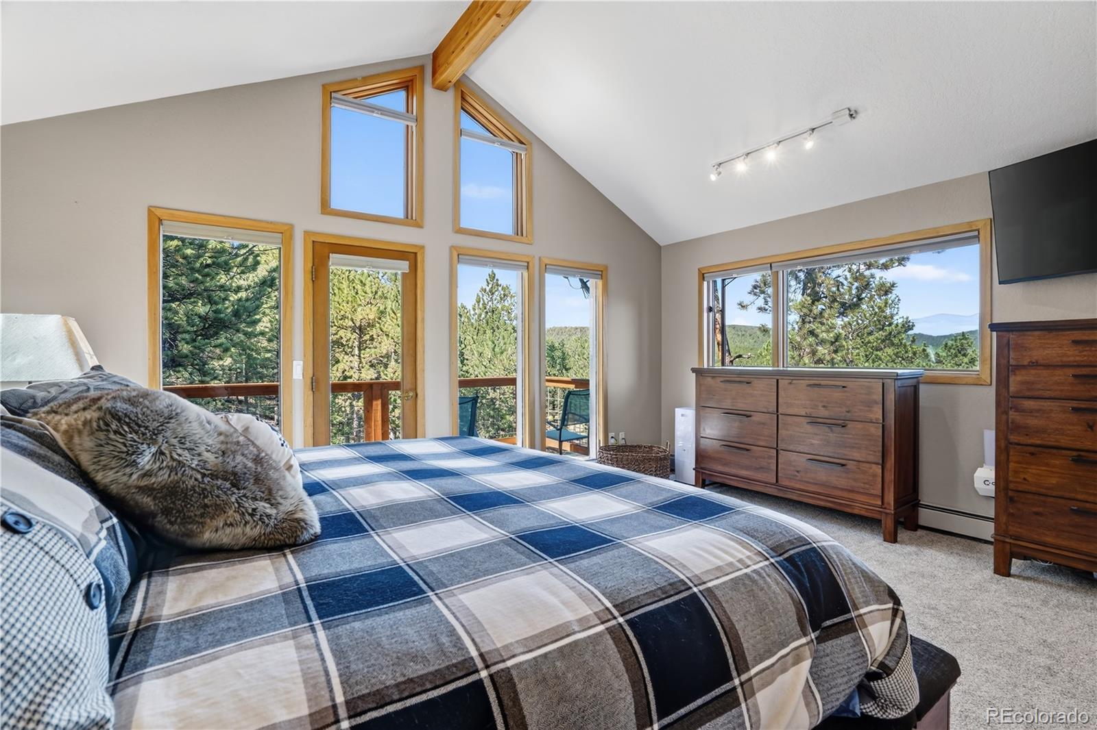 MLS Image #33 for 203  valley view lane,pine, Colorado