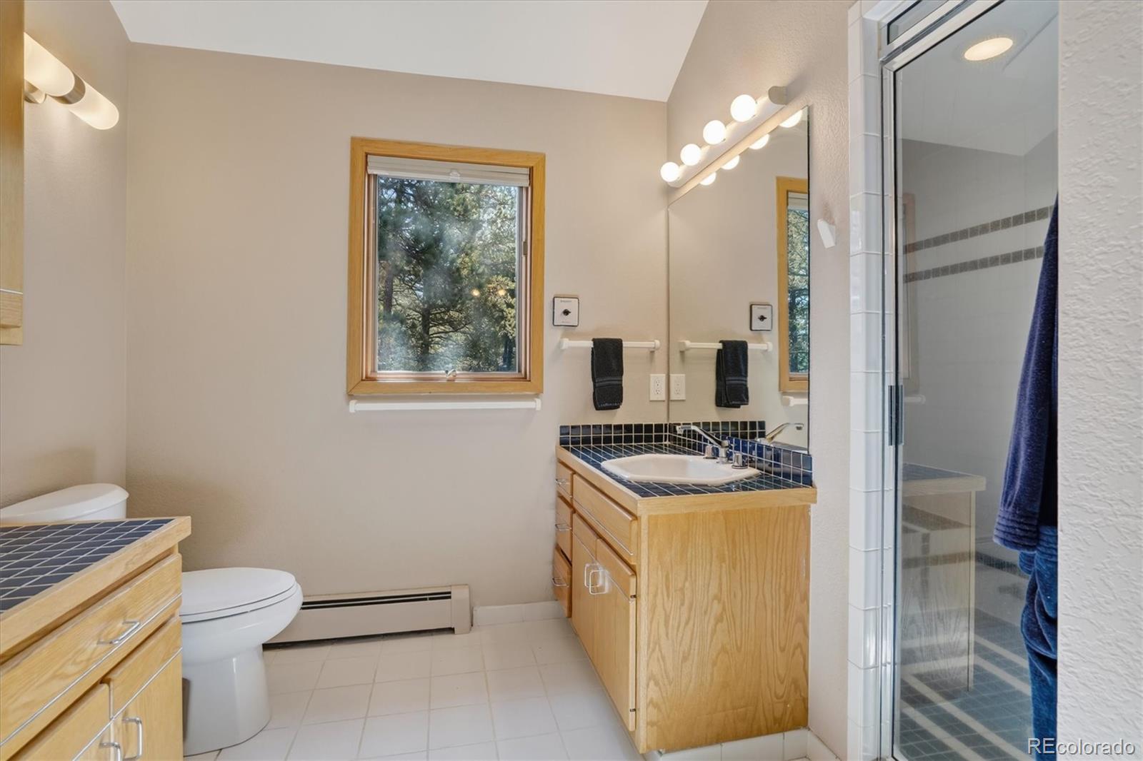 MLS Image #34 for 203  valley view lane,pine, Colorado