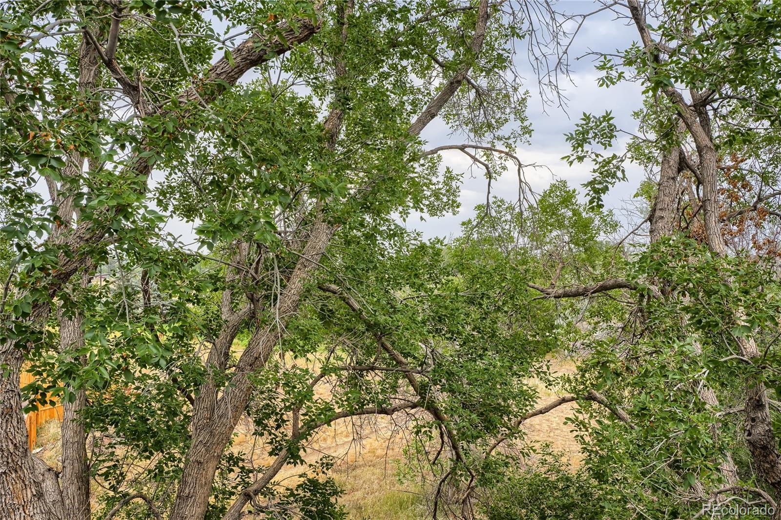 MLS Image #21 for 2710 w 86th avenue,westminster, Colorado