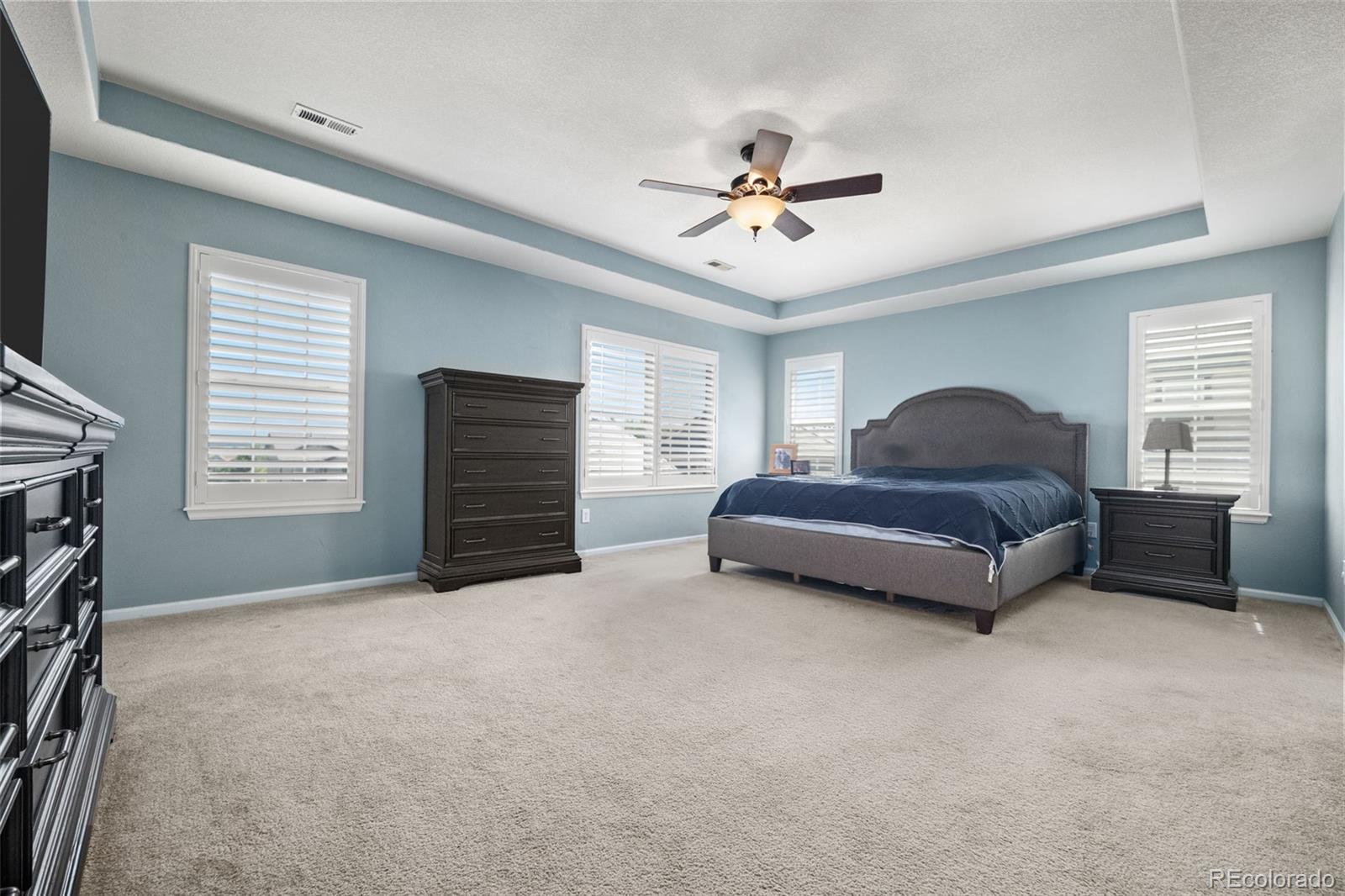 MLS Image #21 for 8098  grady circle,castle rock, Colorado
