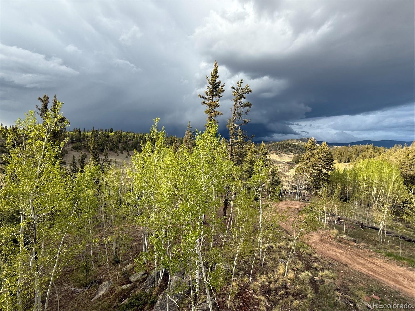 MLS Image #28 for 2544 e longbow drive,jefferson, Colorado