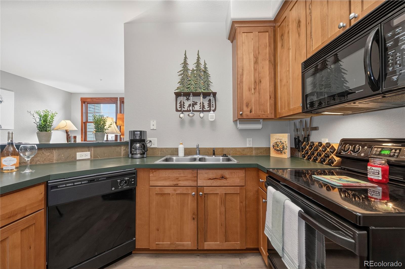 MLS Image #15 for 2022  blue sky trail,granby, Colorado