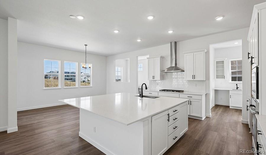 MLS Image #10 for 1667  green fern point,castle rock, Colorado