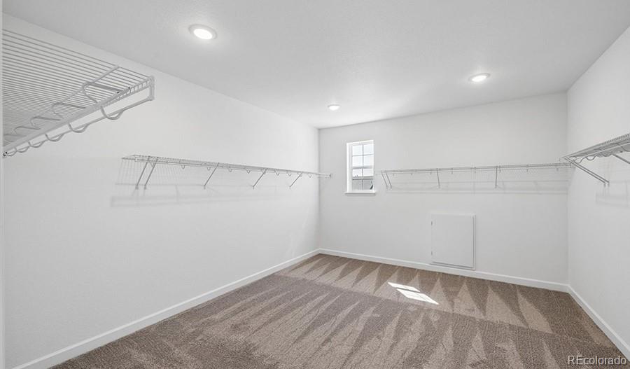 MLS Image #25 for 1667  green fern point,castle rock, Colorado