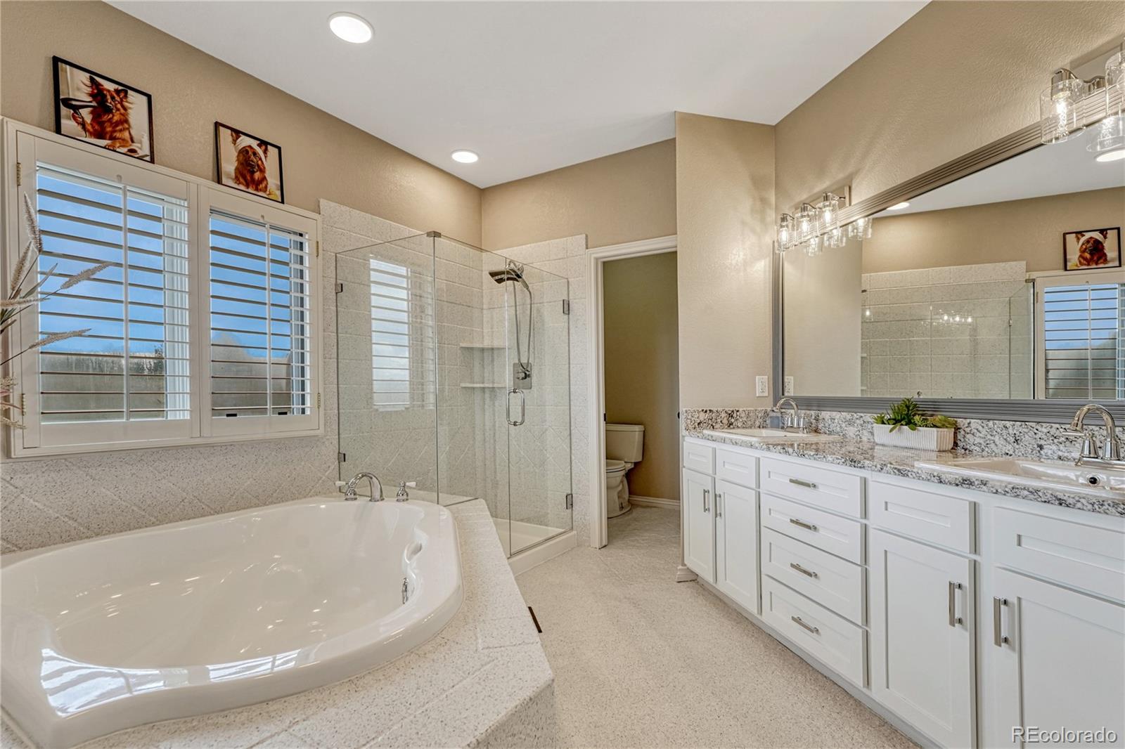 MLS Image #12 for 6196  ponderosa way,parker, Colorado