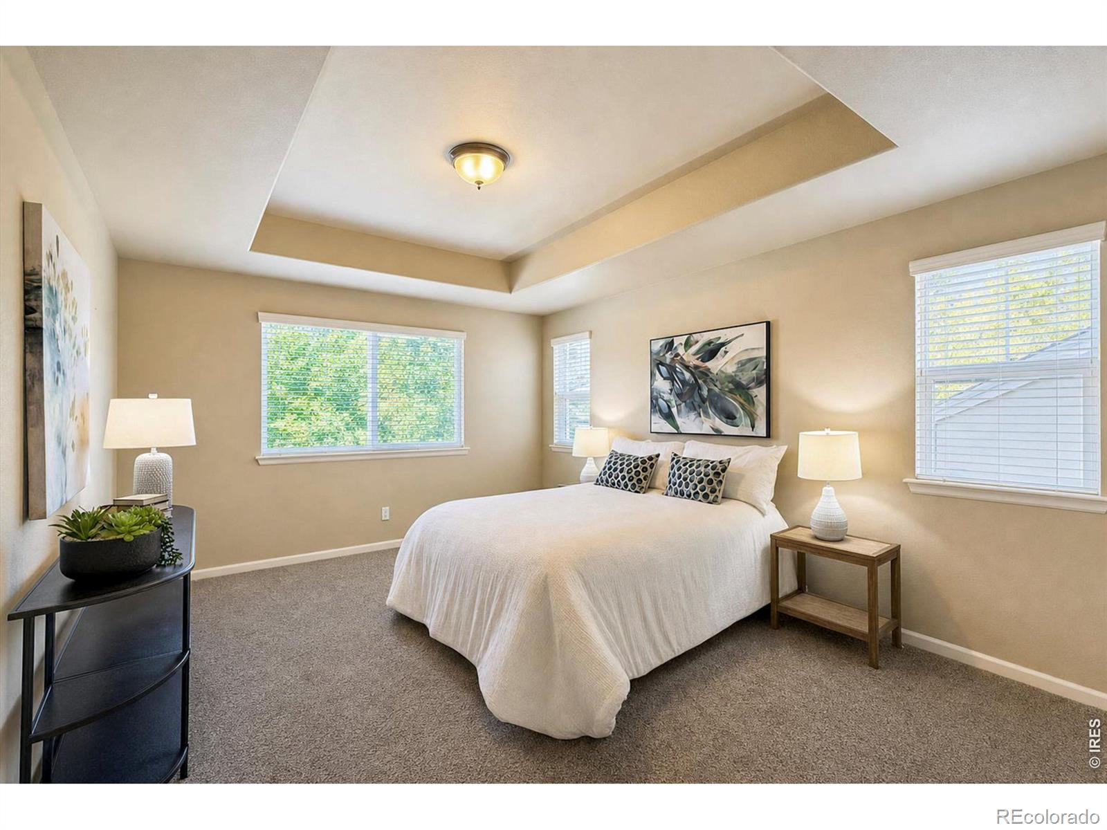 MLS Image #23 for 915  snowy plain road,fort collins, Colorado