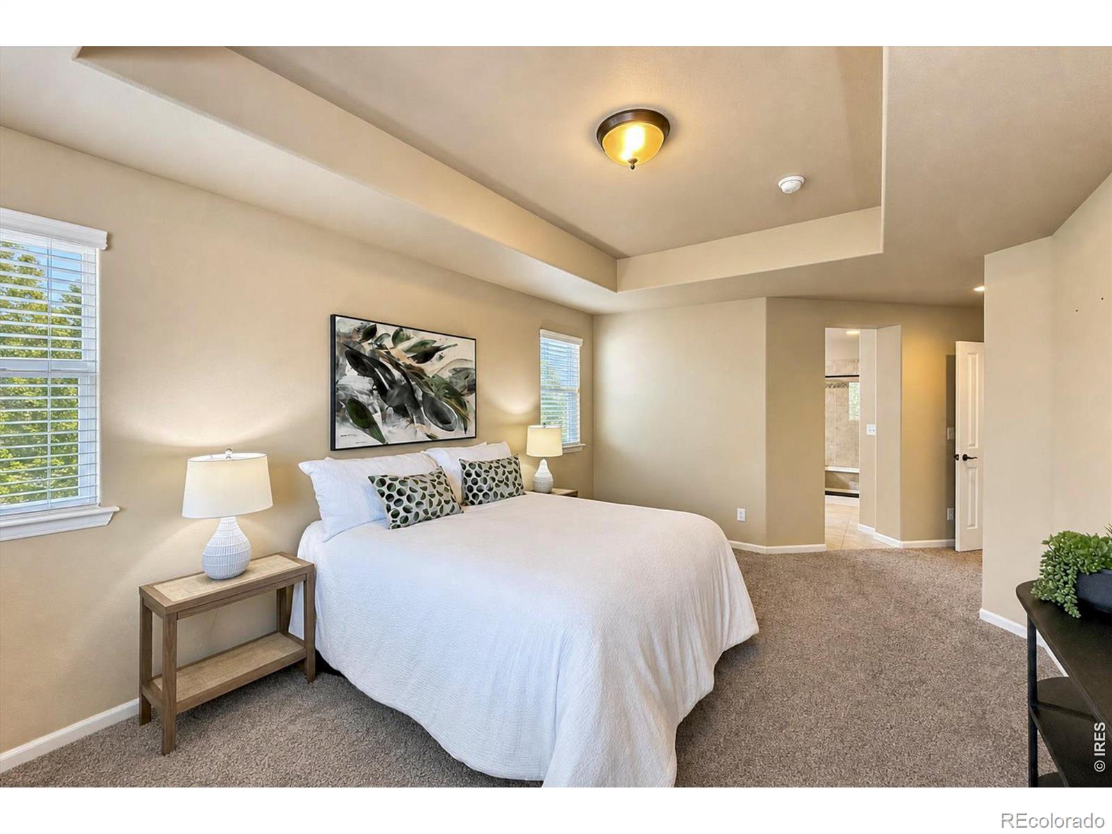MLS Image #25 for 915  snowy plain road,fort collins, Colorado