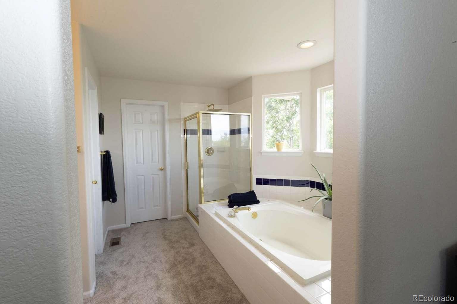 MLS Image #31 for 10767  pikeview lane,parker, Colorado