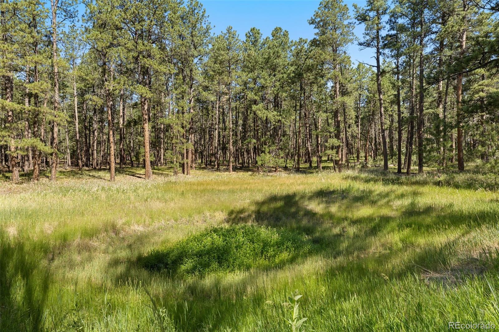 MLS Image #10 for 7005  shoup road,colorado springs, Colorado