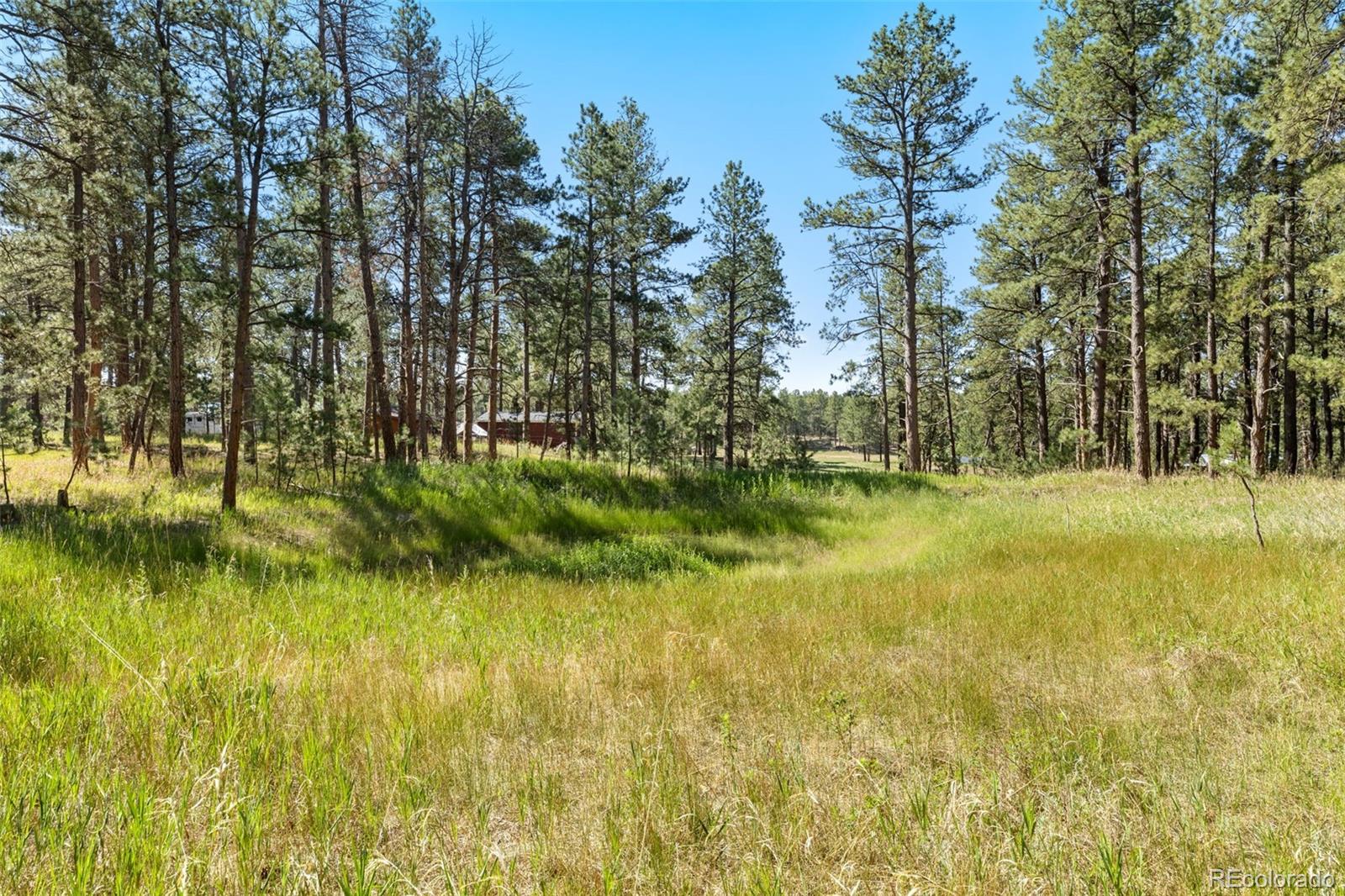 MLS Image #11 for 7005  shoup road,colorado springs, Colorado
