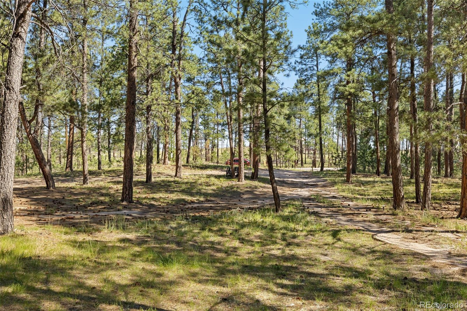 MLS Image #13 for 7005  shoup road,colorado springs, Colorado