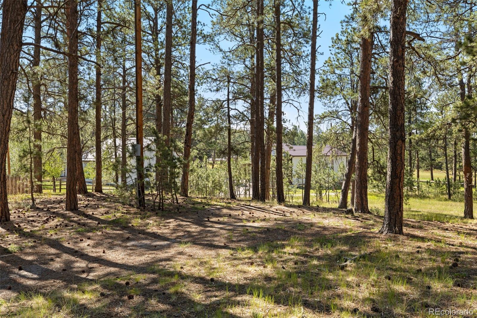 MLS Image #14 for 7005  shoup road,colorado springs, Colorado