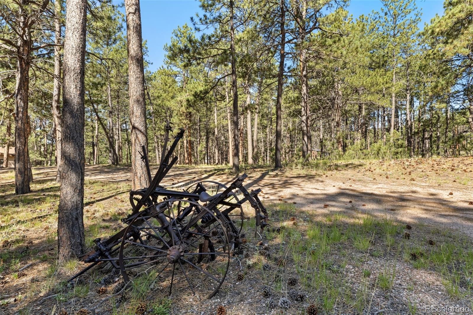 MLS Image #4 for 7005  shoup road,colorado springs, Colorado