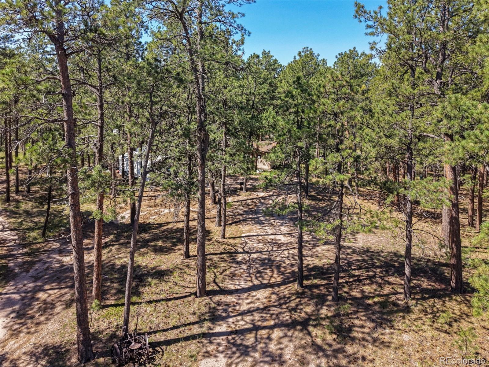 MLS Image #5 for 7005  shoup road,colorado springs, Colorado