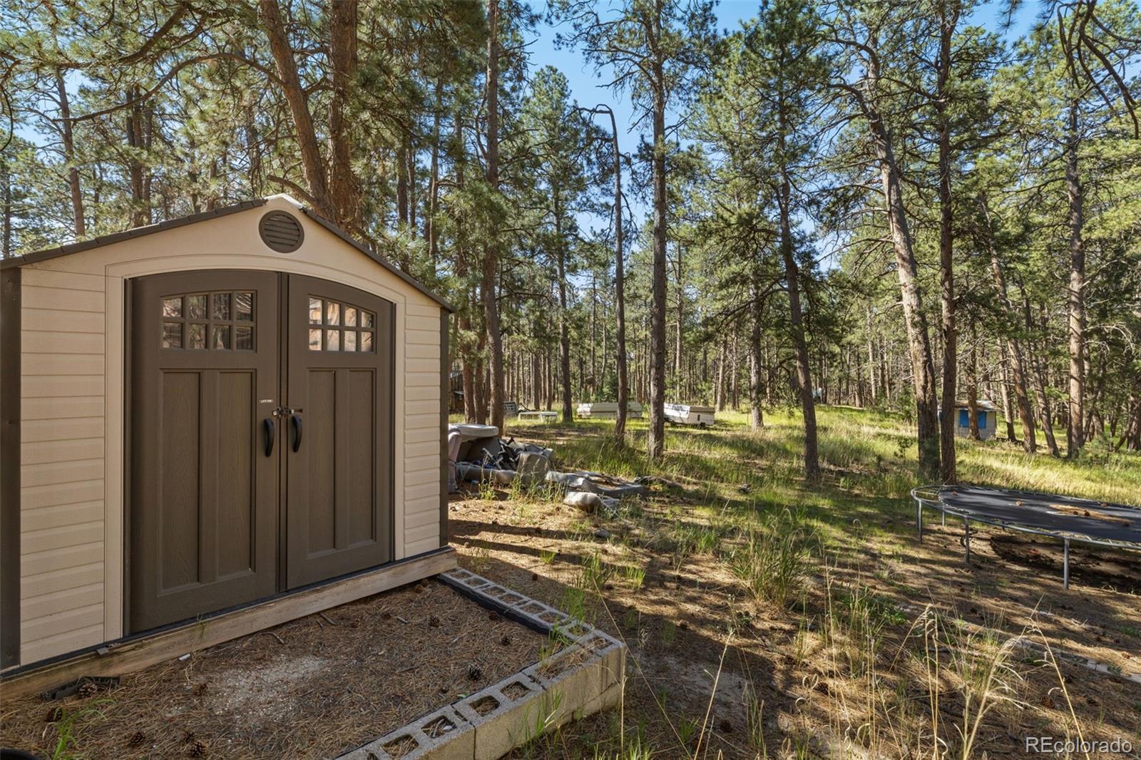 MLS Image #7 for 7005  shoup road,colorado springs, Colorado