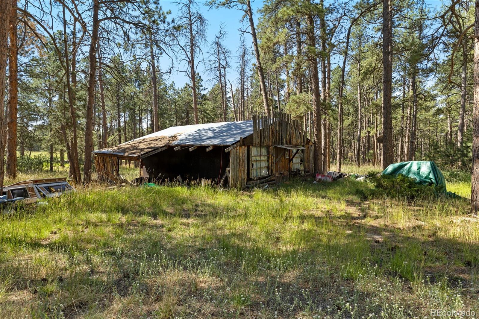 MLS Image #8 for 7005  shoup road,colorado springs, Colorado