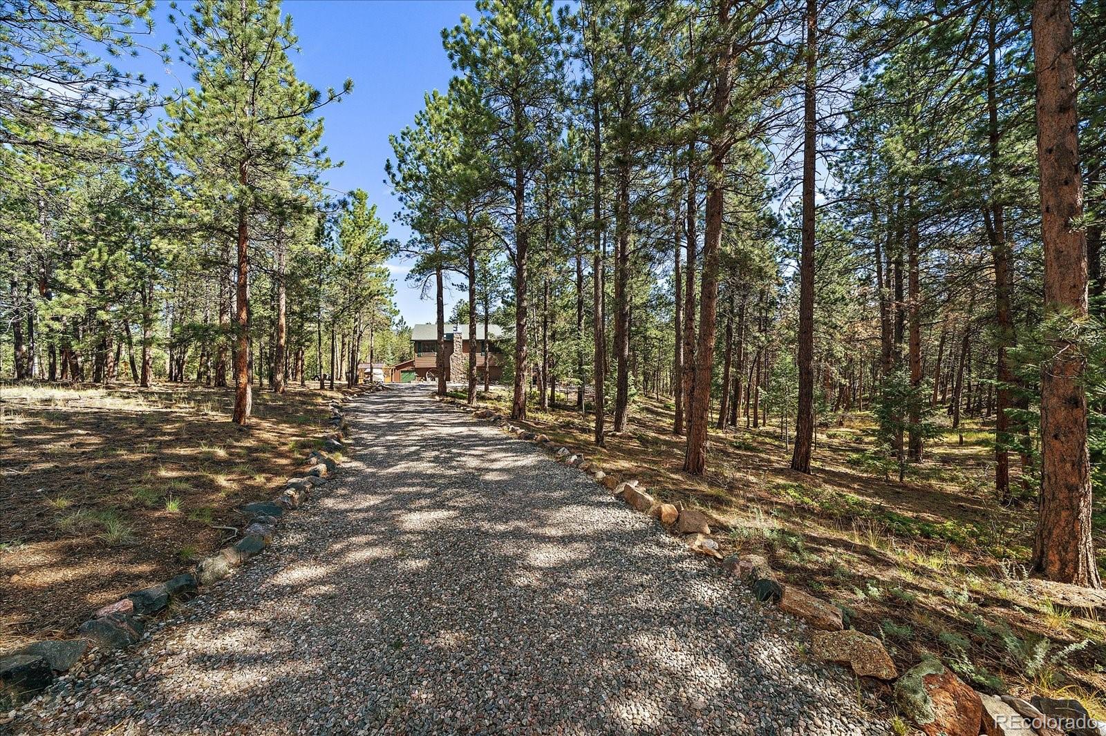 MLS Image #3 for 13183 s piute drive,pine, Colorado