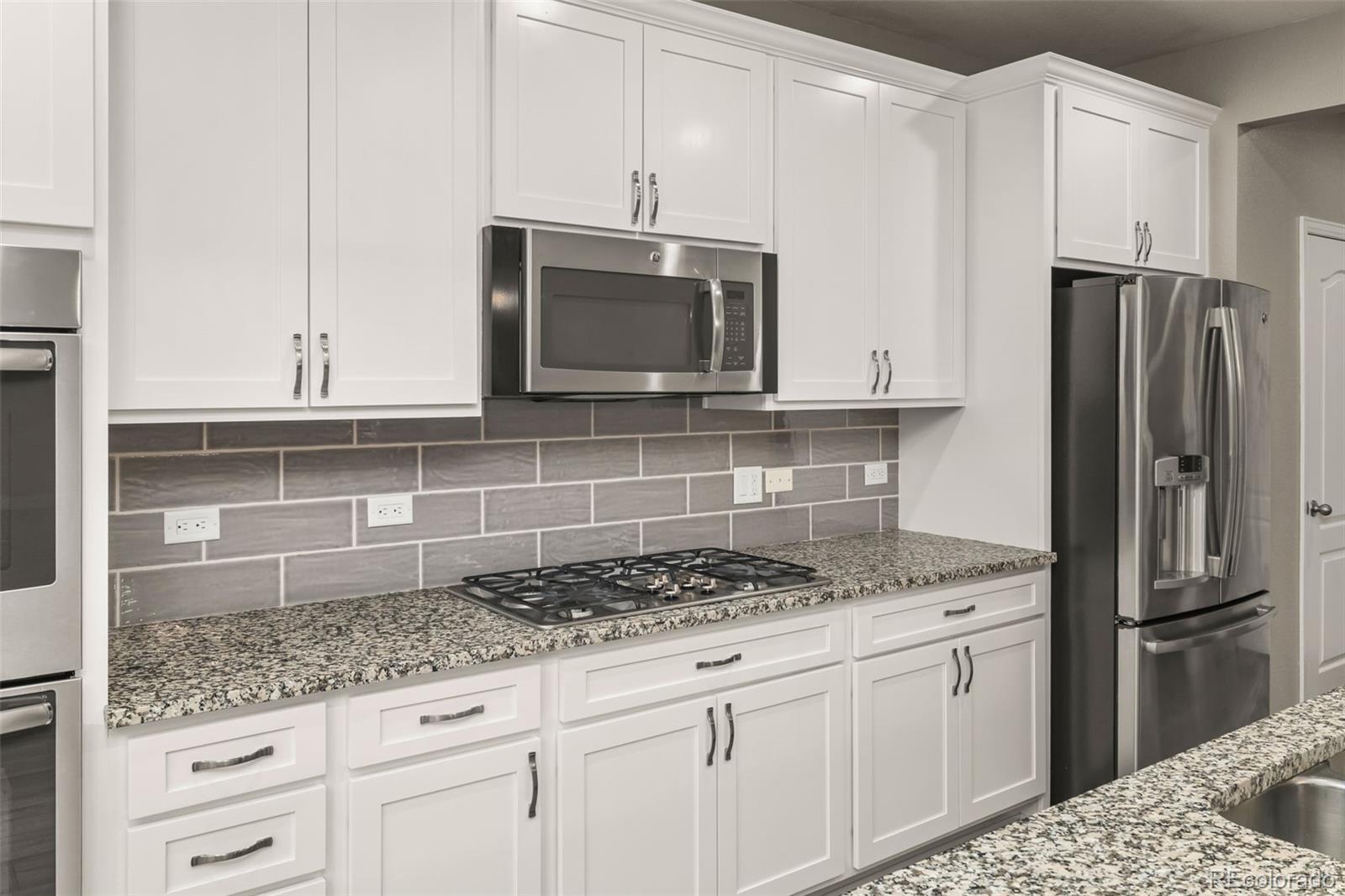 MLS Image #17 for 7730  blue water lane,castle rock, Colorado