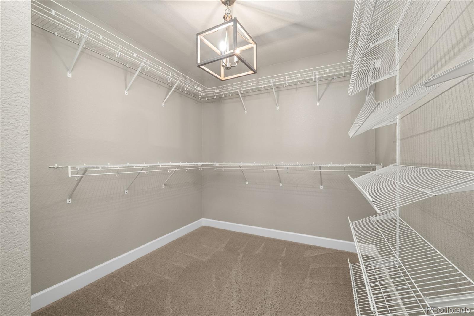 MLS Image #29 for 7730  blue water lane,castle rock, Colorado