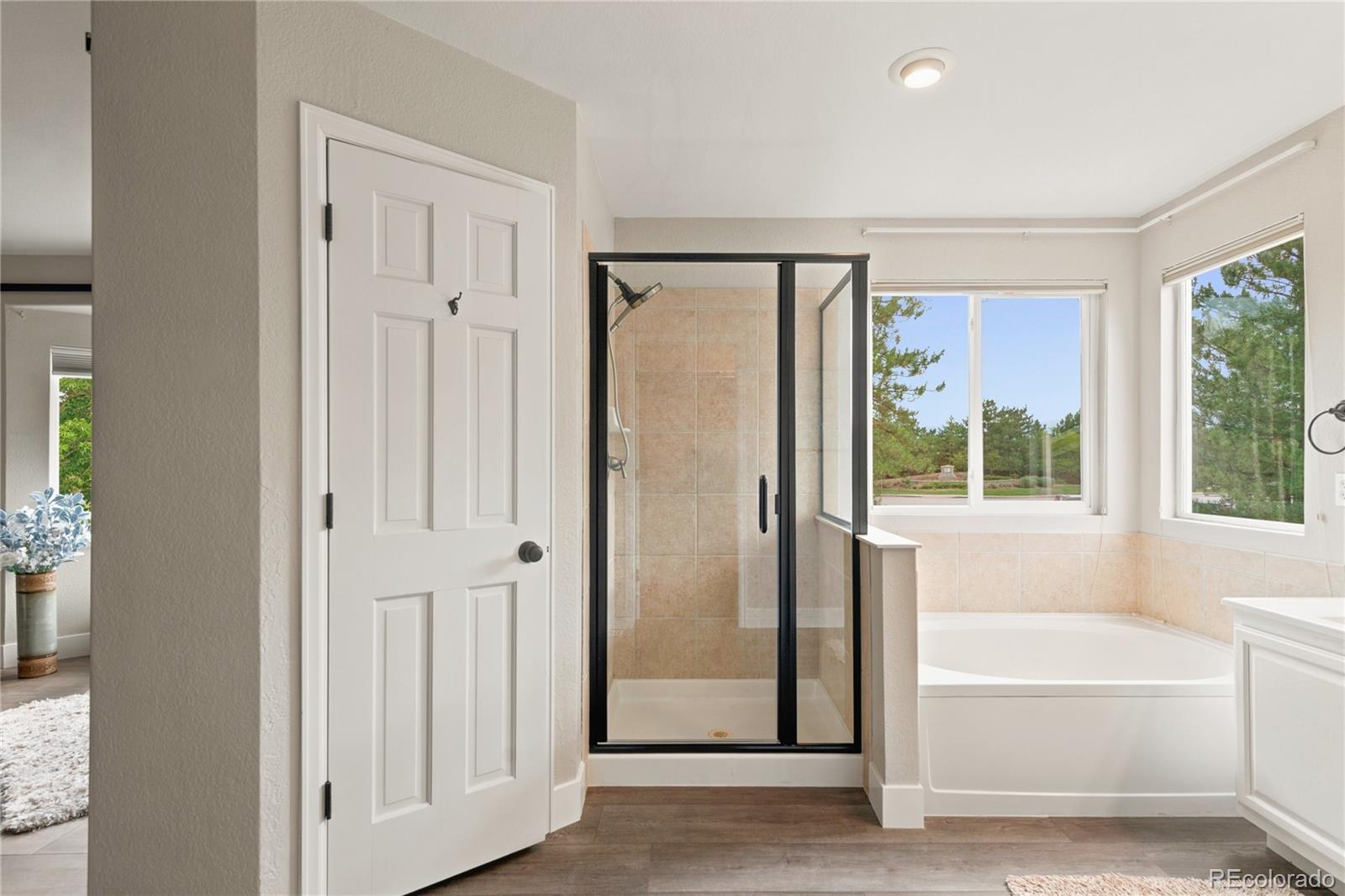 MLS Image #22 for 10355  sparrow hawk court,highlands ranch, Colorado