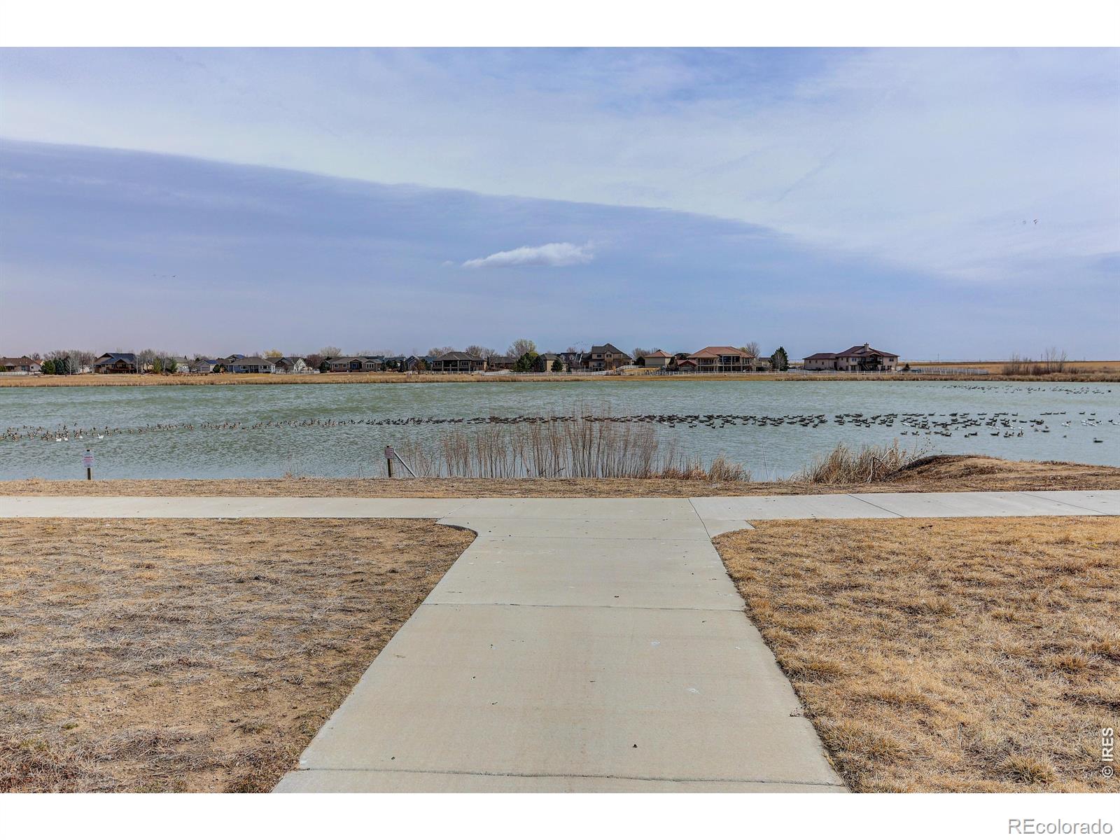 MLS Image #37 for 826  elias tarn drive,severance, Colorado