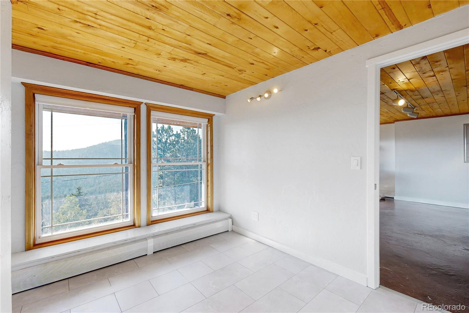 MLS Image #25 for 32391  lodgepole drive,evergreen, Colorado