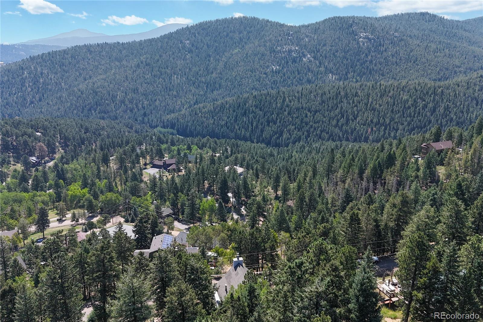 MLS Image #46 for 32391  lodgepole drive,evergreen, Colorado