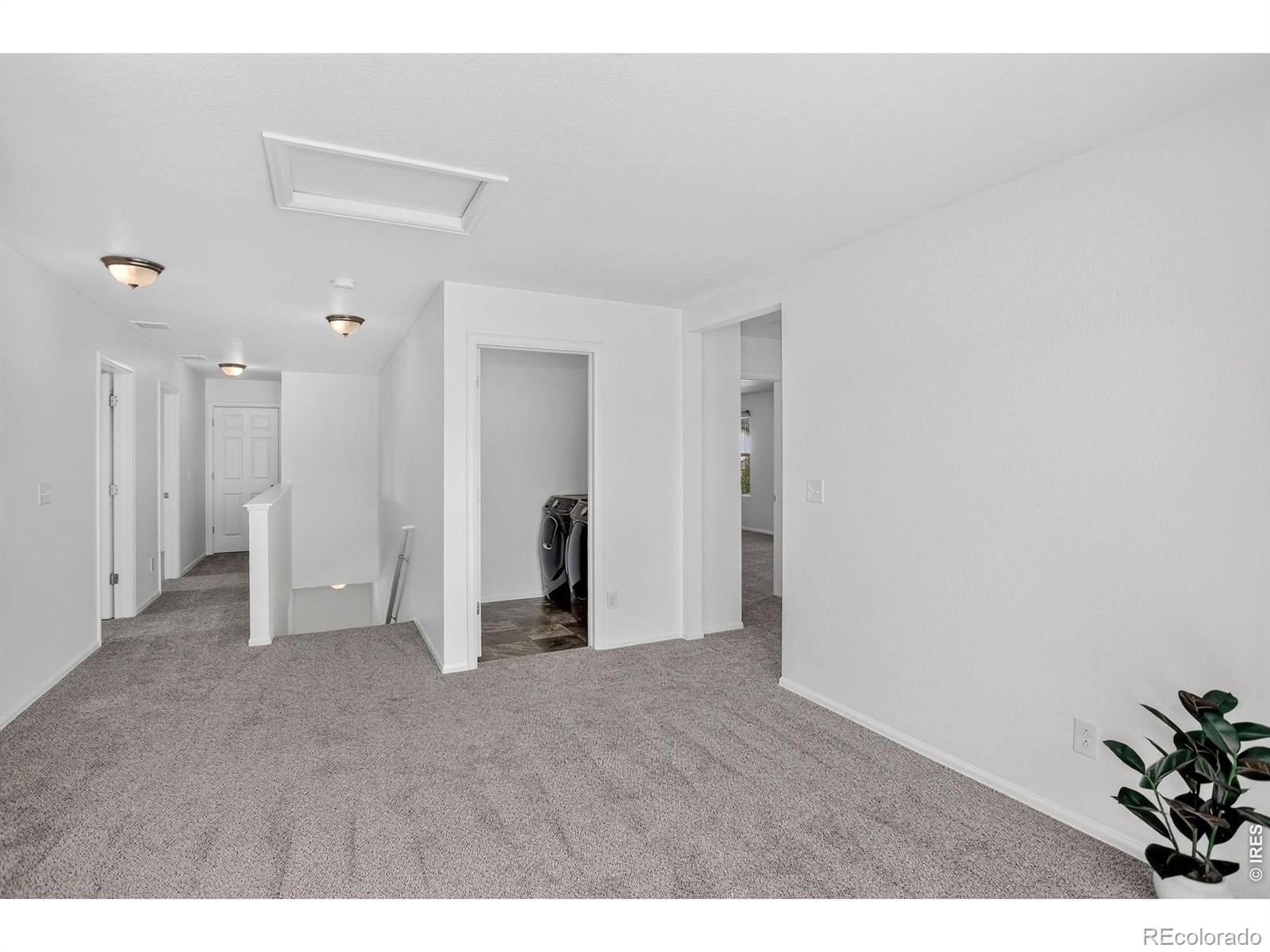 MLS Image #18 for 3657  torch lily street,wellington, Colorado