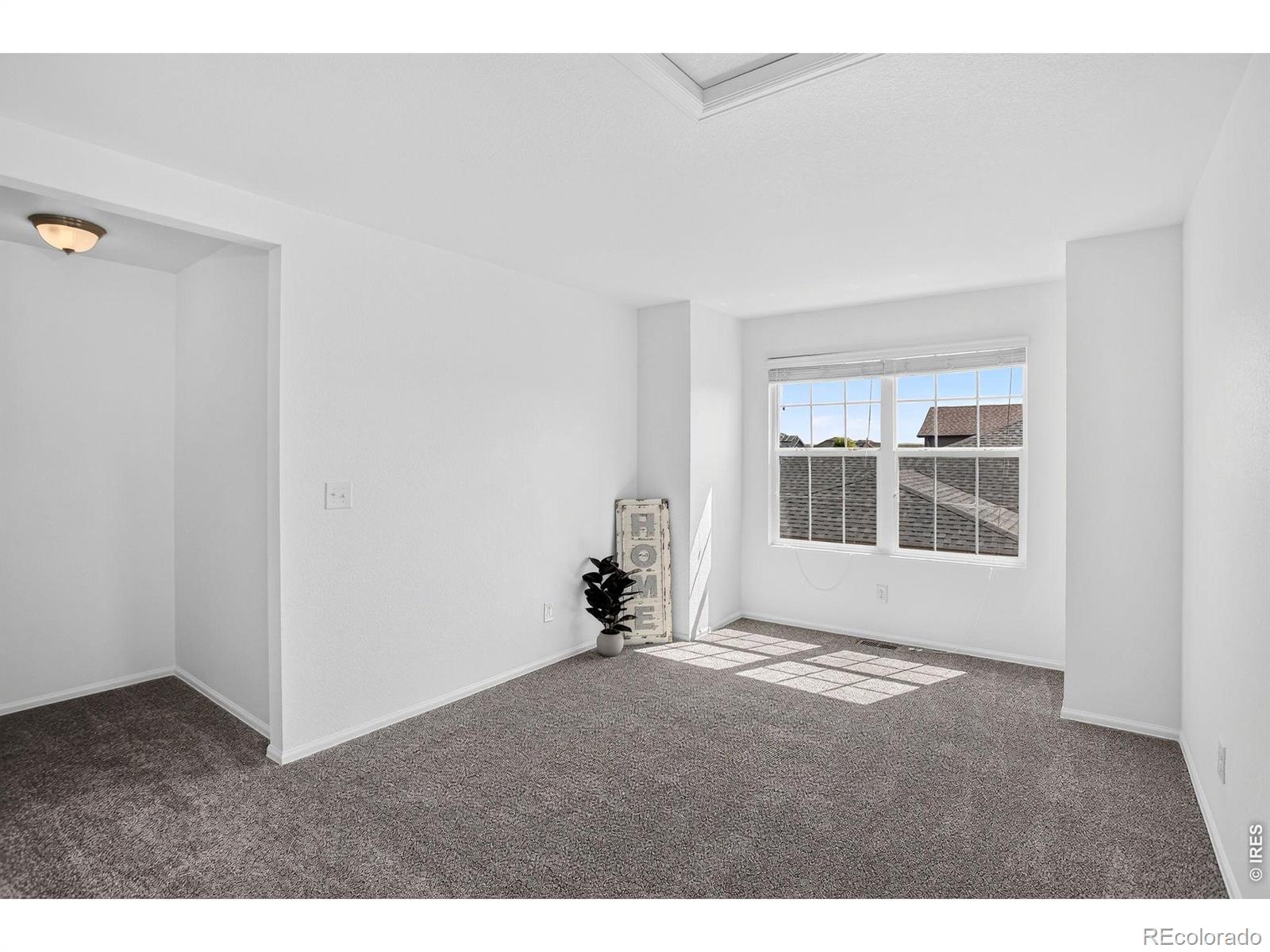 MLS Image #19 for 3657  torch lily street,wellington, Colorado