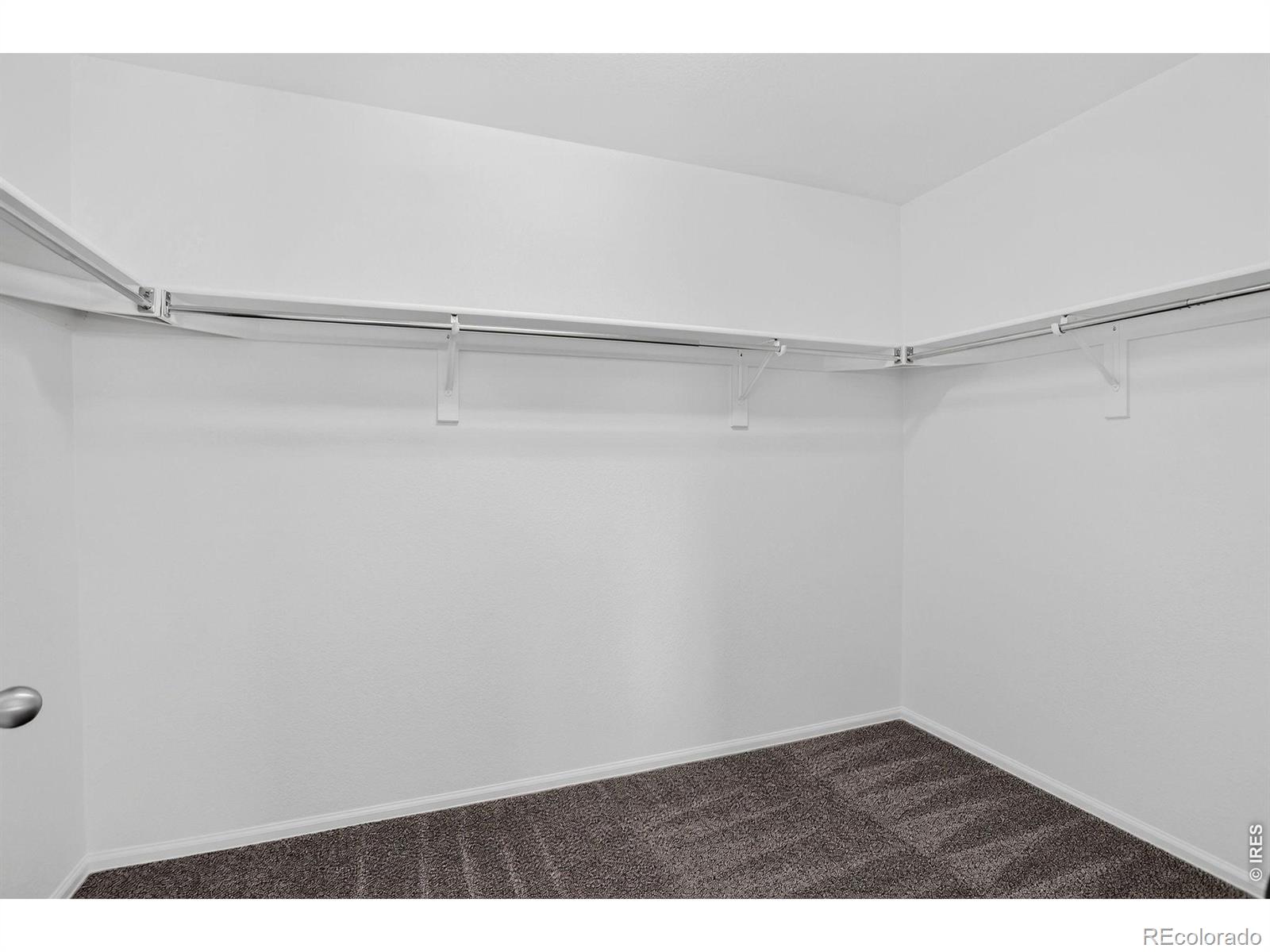 MLS Image #26 for 3657  torch lily street,wellington, Colorado