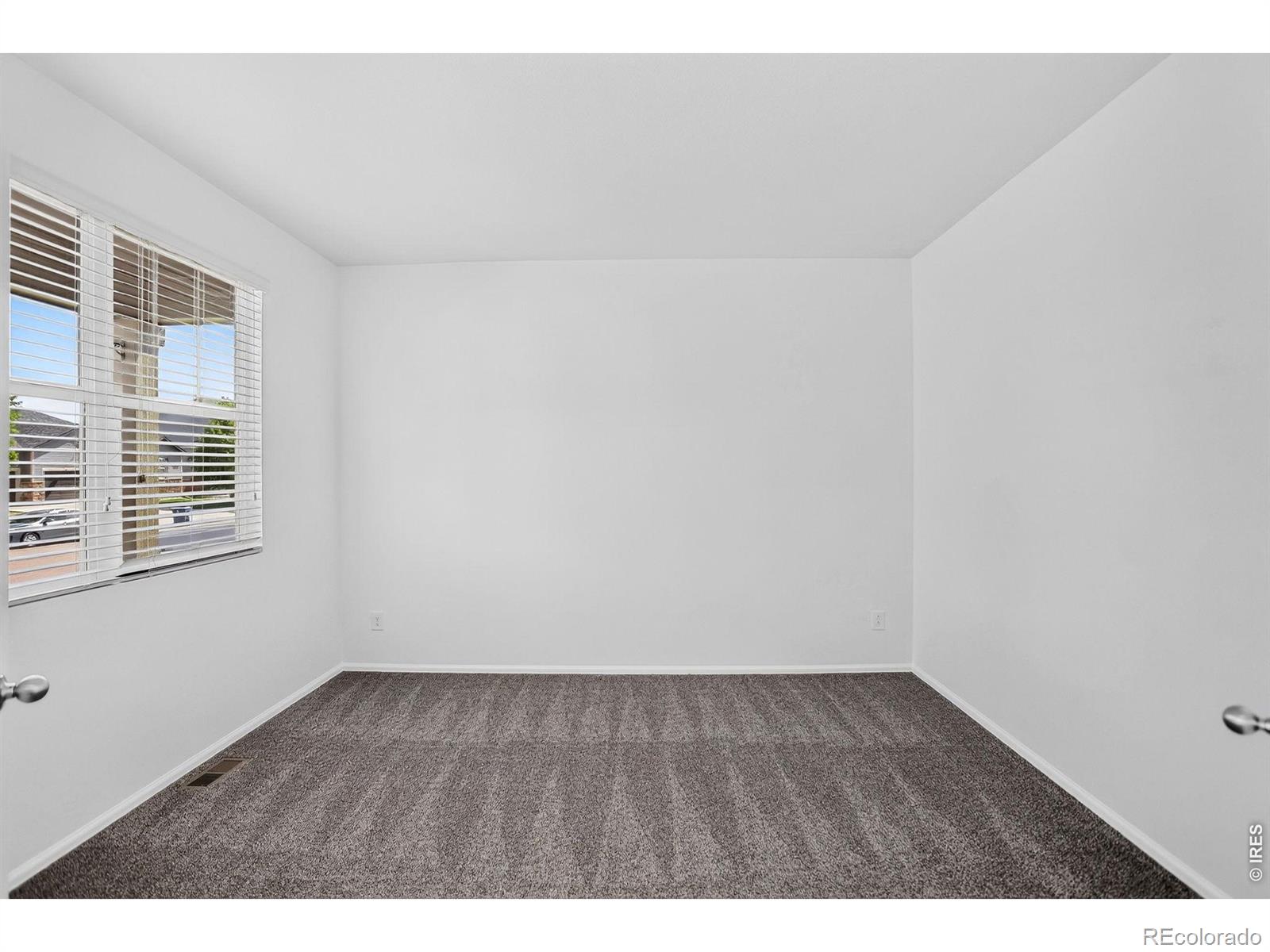 MLS Image #5 for 3657  torch lily street,wellington, Colorado
