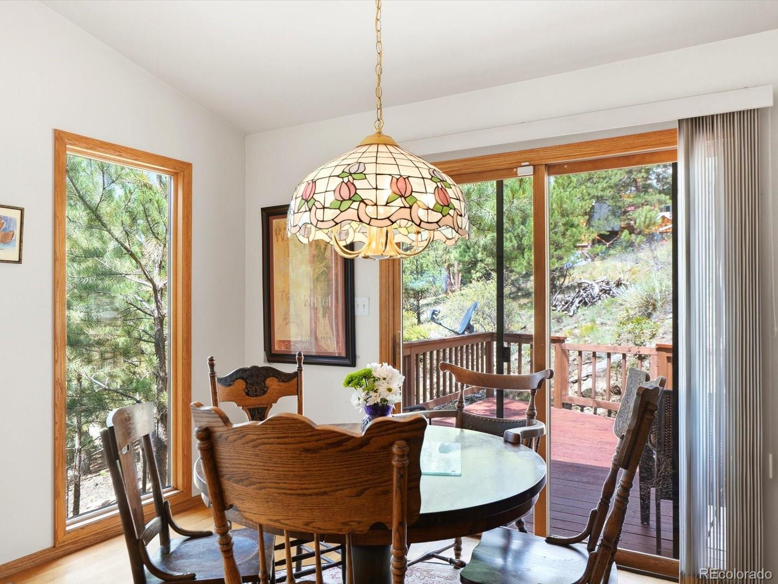 MLS Image #10 for 74  badger lane,bailey, Colorado