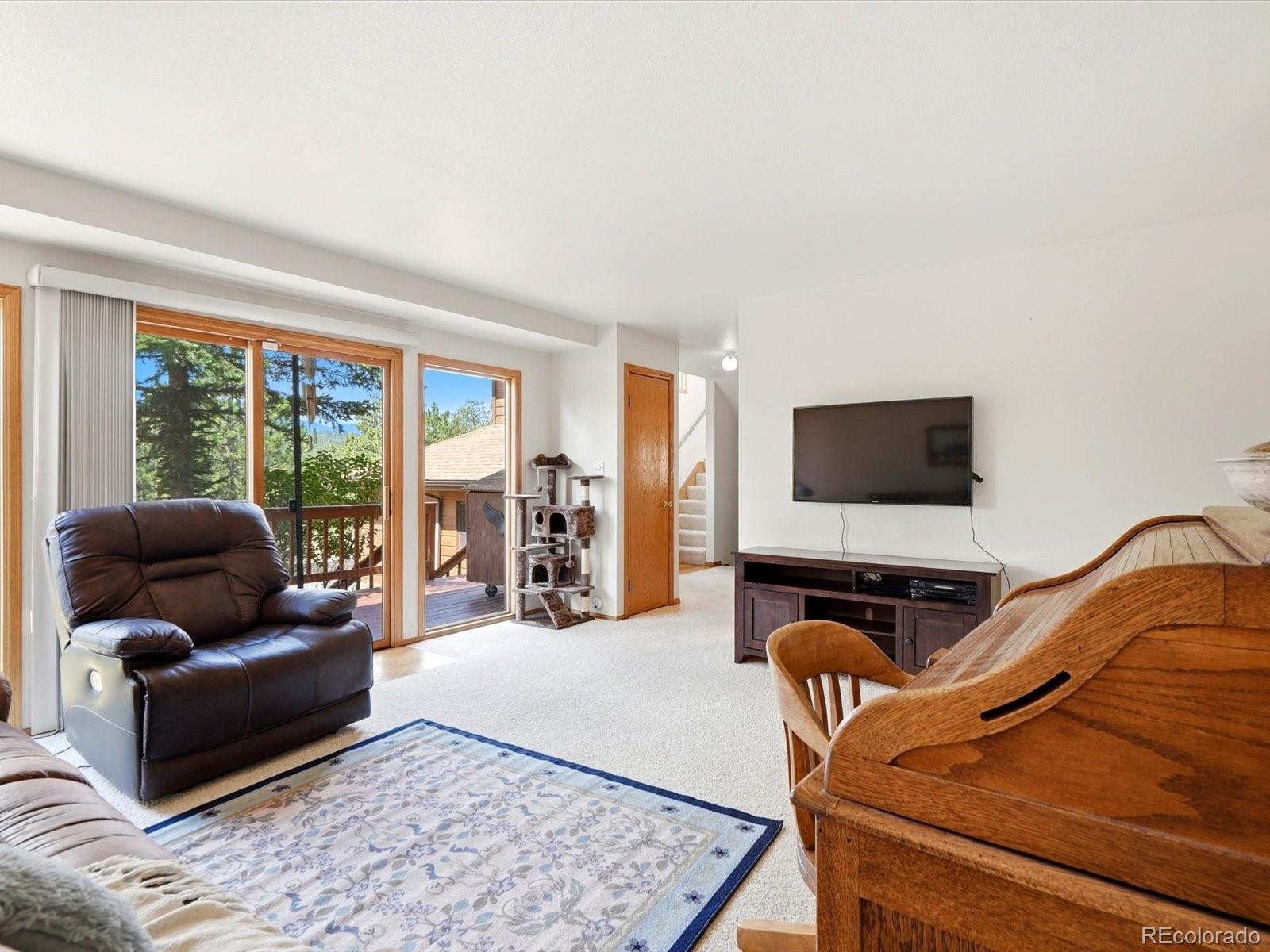 MLS Image #11 for 74  badger lane,bailey, Colorado
