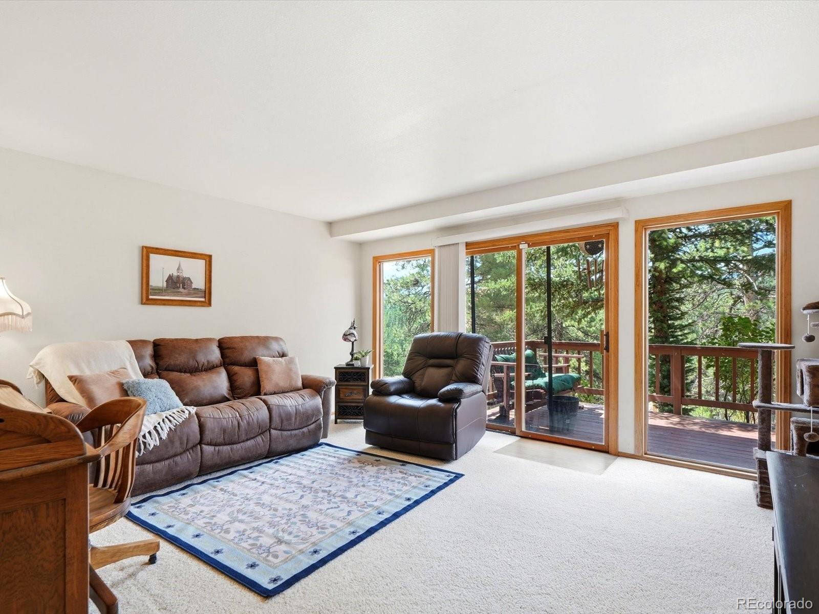 MLS Image #12 for 74  badger lane,bailey, Colorado