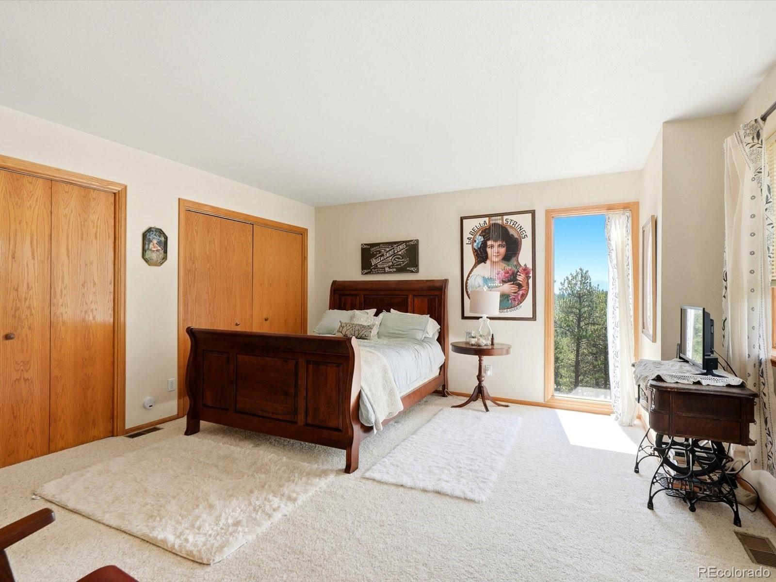 MLS Image #16 for 74  badger lane,bailey, Colorado