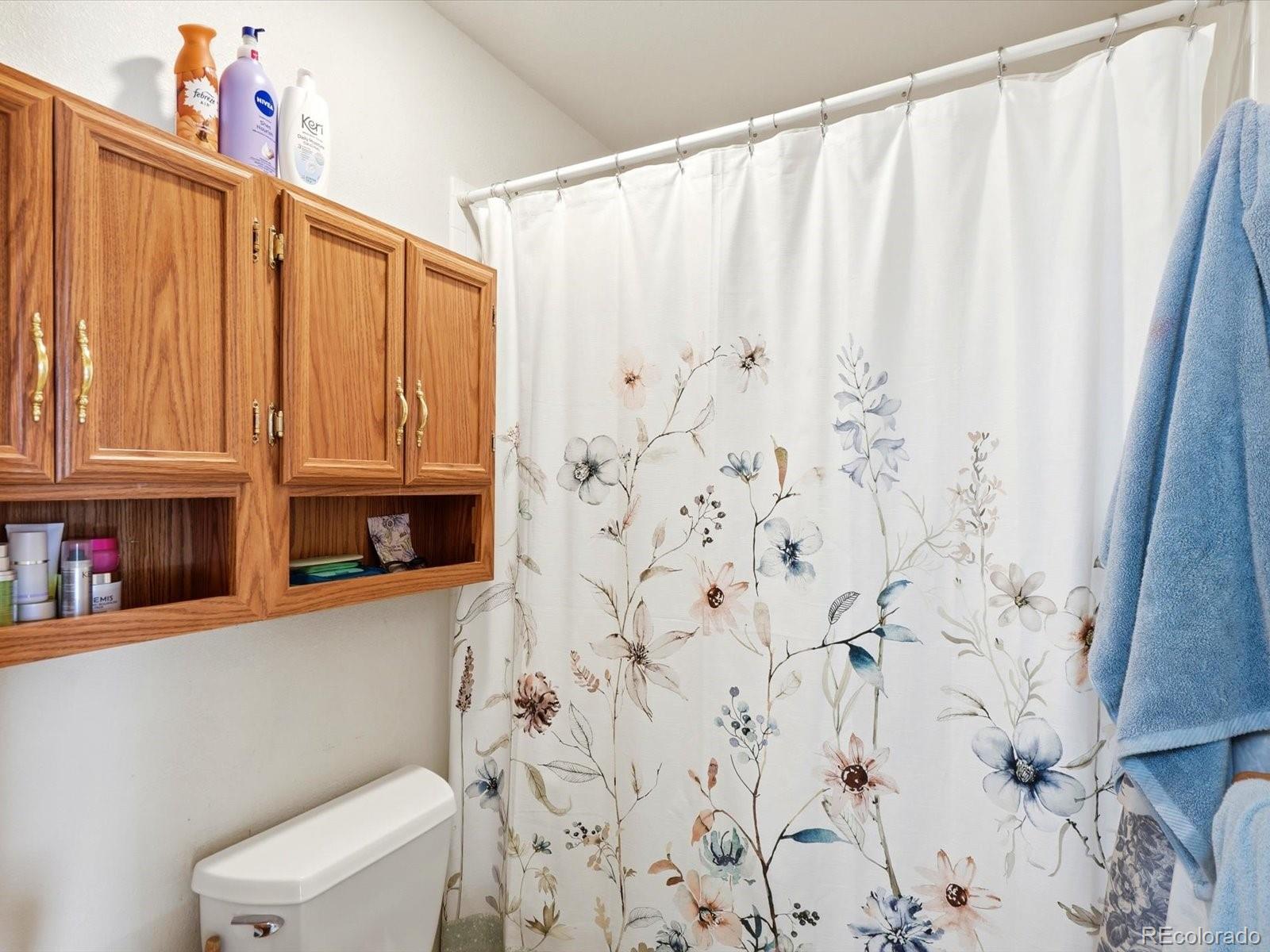 MLS Image #19 for 74  badger lane,bailey, Colorado