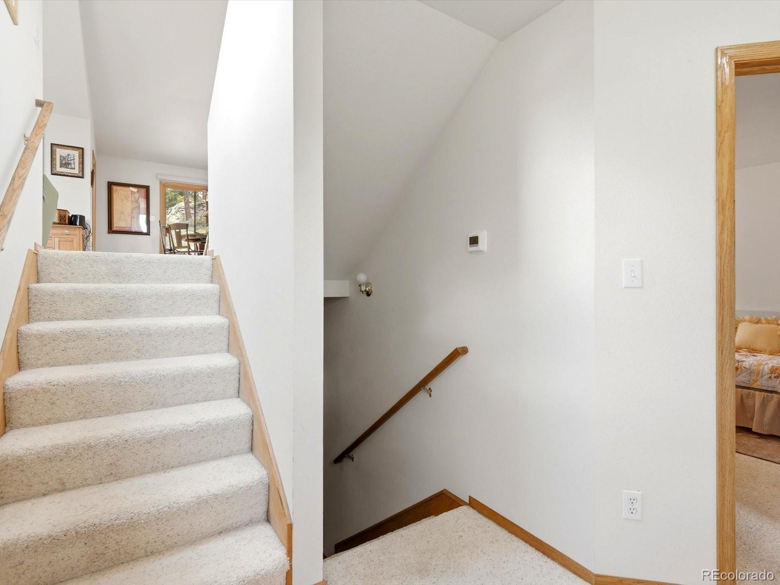 MLS Image #21 for 74  badger lane,bailey, Colorado