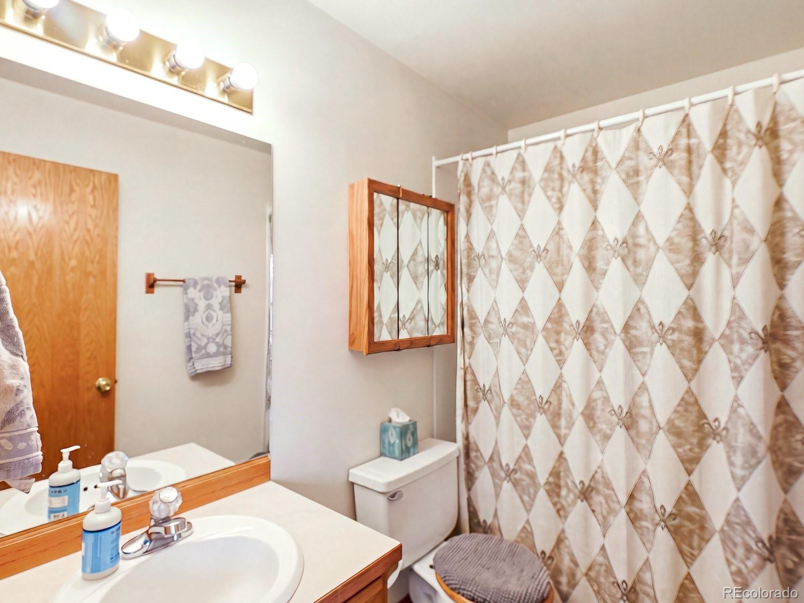MLS Image #23 for 74  badger lane,bailey, Colorado