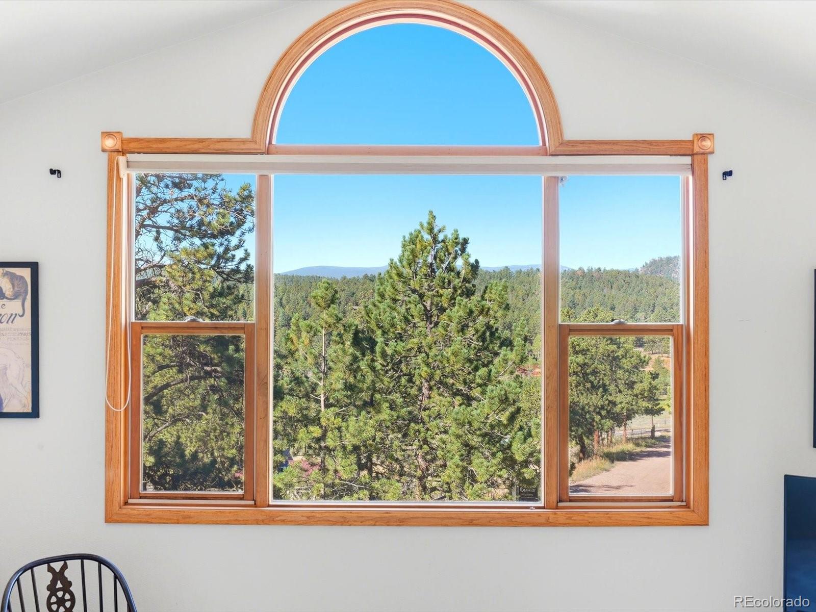 MLS Image #5 for 74  badger lane,bailey, Colorado