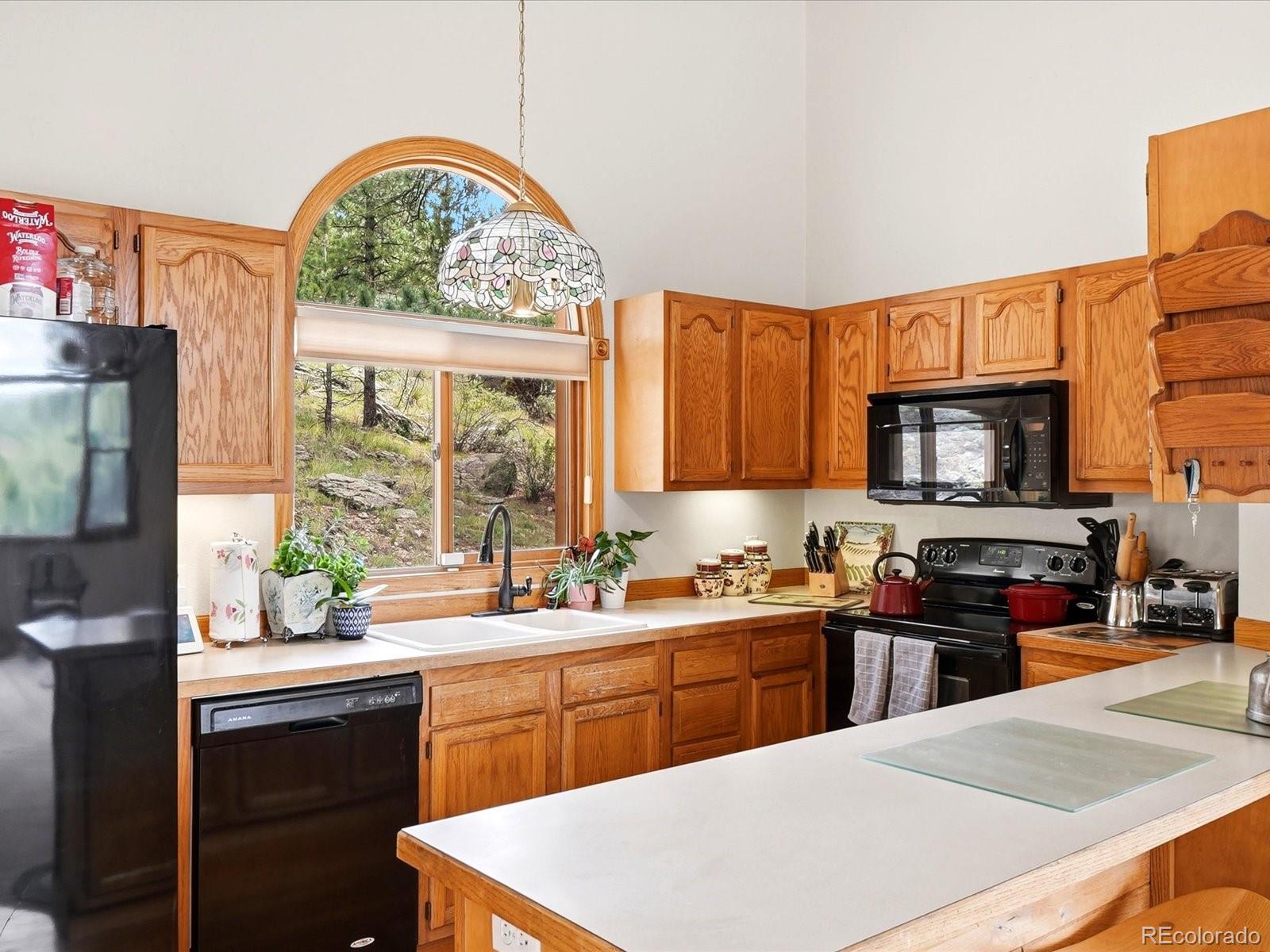 MLS Image #7 for 74  badger lane,bailey, Colorado