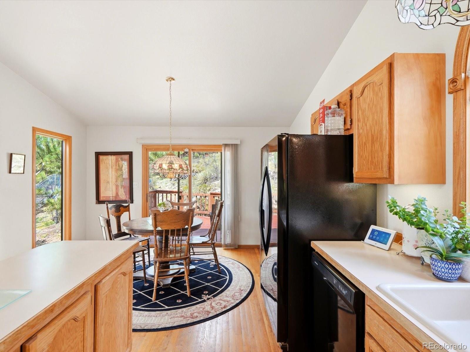 MLS Image #8 for 74  badger lane,bailey, Colorado