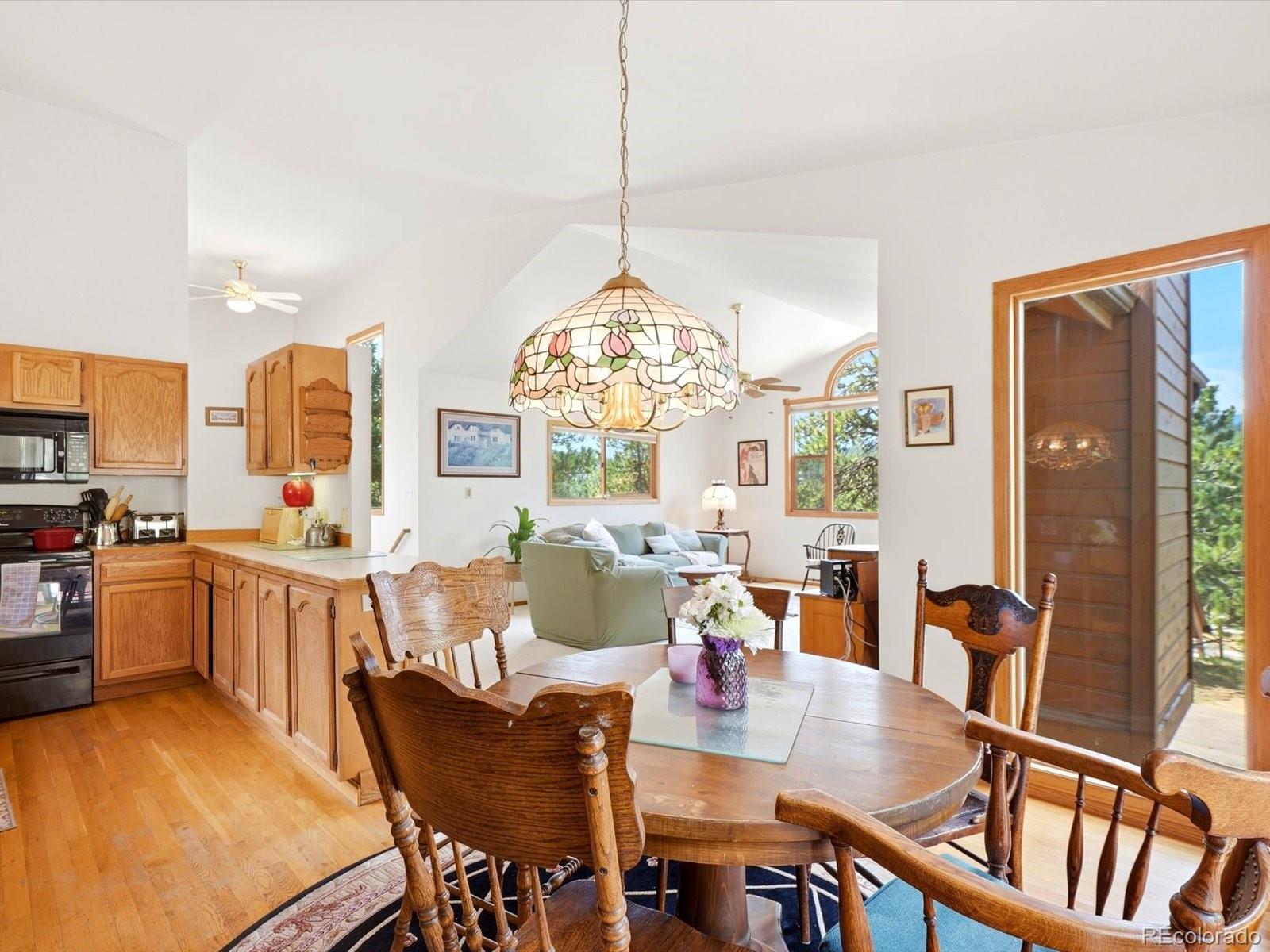 MLS Image #9 for 74  badger lane,bailey, Colorado