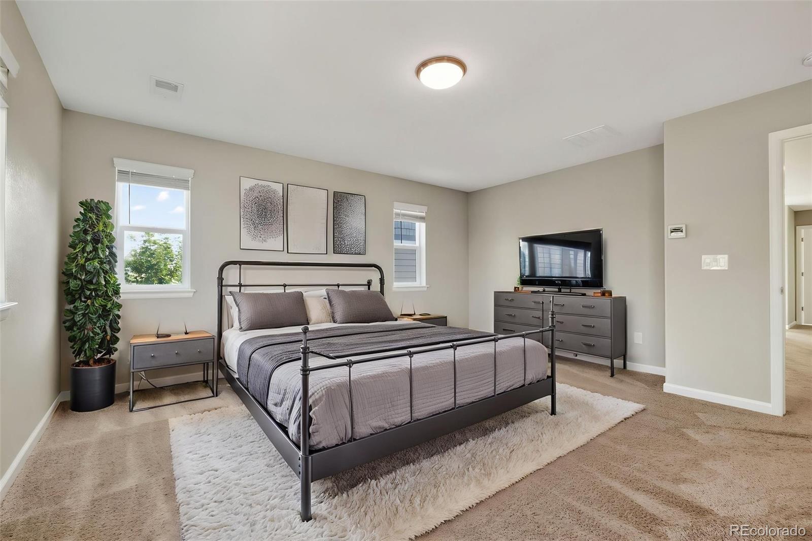 MLS Image #22 for 6458  amur court,castle rock, Colorado